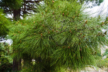 Similar image 22150016