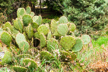 Similar image 22152815