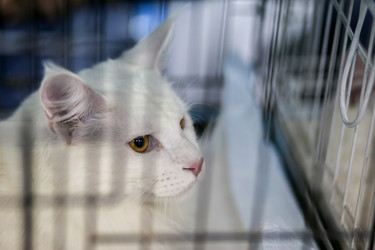 Similar image 22133606