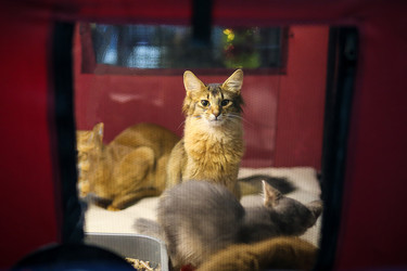 Similar image 22133608