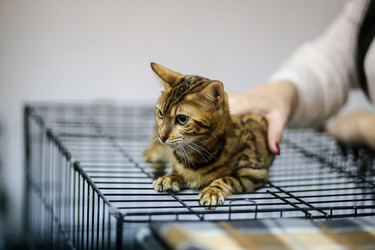 Similar image 22133609