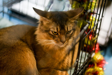 Similar image 22133611