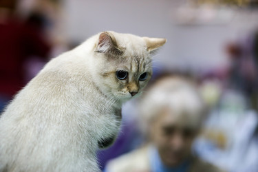 Similar image 22133612