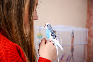 Similar image 22133614