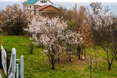 Similar image 22152817