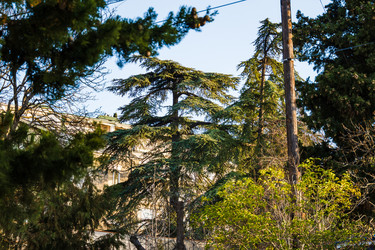 Similar image 22152818