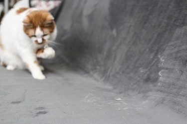 Similar image 22133615