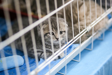 Similar image 22133620