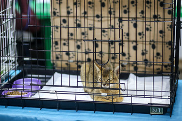 Similar image 22133623