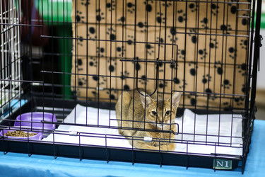 Similar image 22133625