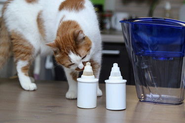 Similar image 22133574