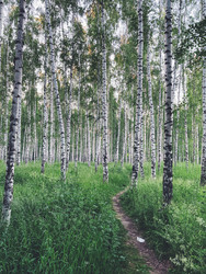 Similar image 22133062