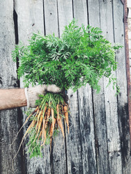 Similar image 22133063