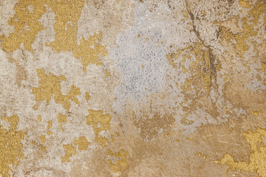 Similar image 22134585