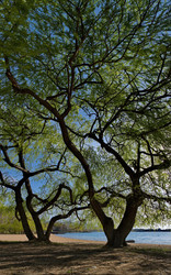 Similar image 22132627