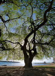 Similar image 22132628