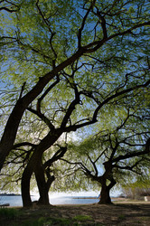 Similar image 22132629