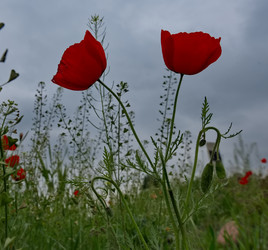 Similar image 22133002