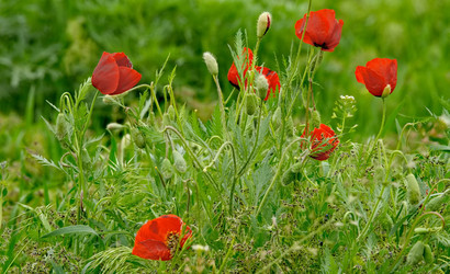 Similar image 22133003