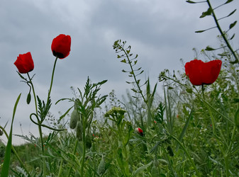 Similar image 22133005