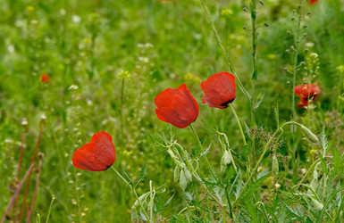 Similar image 22133015