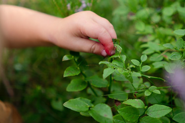 Similar image 22164467