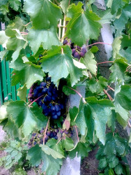 Similar image 22133035