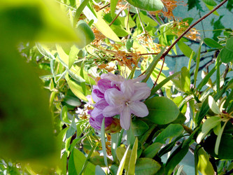 Similar image 22134730