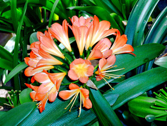 Similar image 22134593