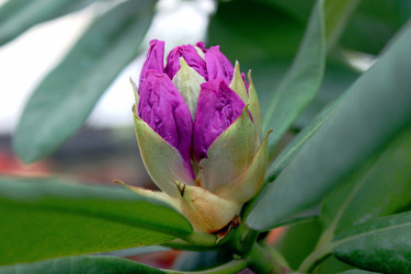 Similar image 22133039