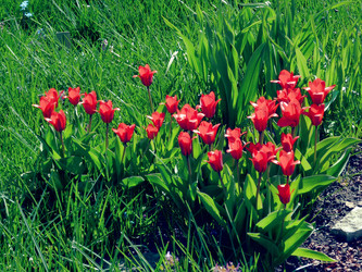 Similar image 22133040