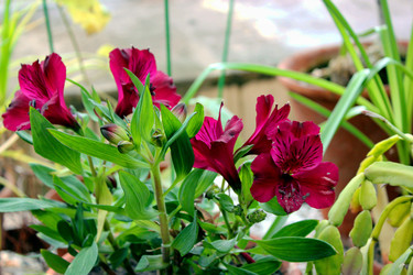 Similar image 22134595