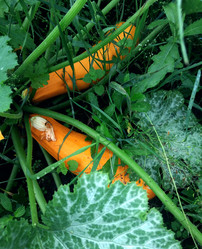 Similar image 22133041