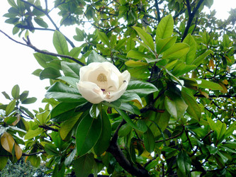 Similar image 22133047