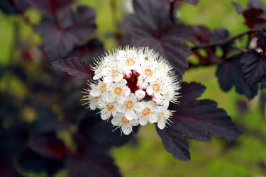 Similar image 22137326