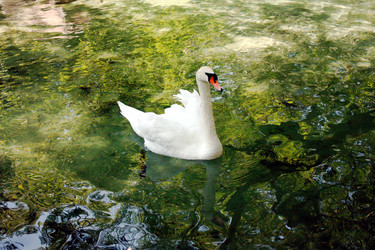 Similar image 22142324