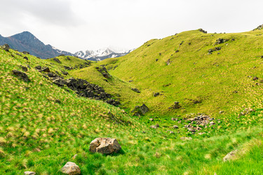 Similar image 22136679