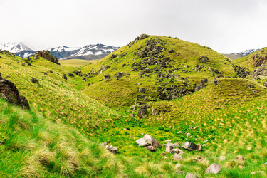 Similar image 22136681