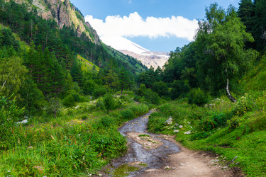 Similar image 22136694