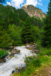 Similar image 22136695