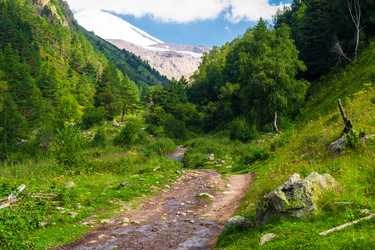 Similar image 22136696