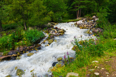 Similar image 22136697