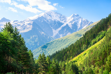 Similar image 22136700