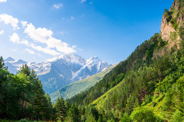 Similar image 22136701