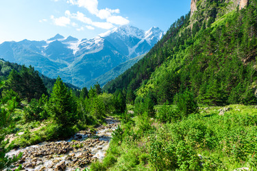 Similar image 22136704