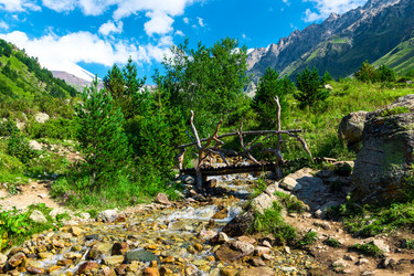 Similar image 22136705