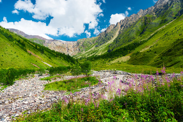 Similar image 22136708