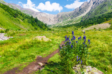 Similar image 22136709