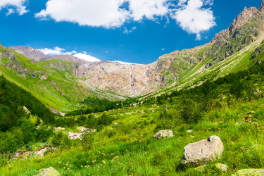 Similar image 22136711