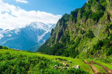 Similar image 22136713